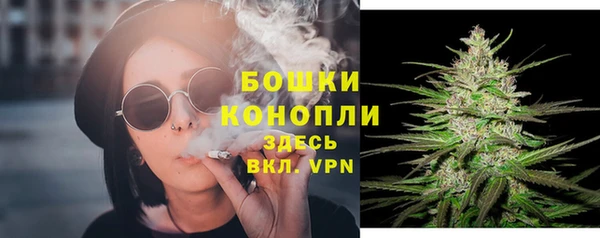 стаф Белоозёрский