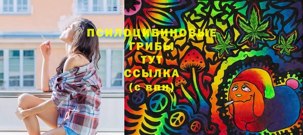 стаф Белоозёрский