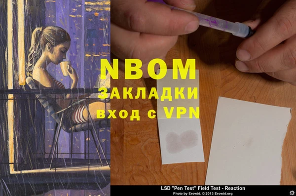 PSILOCYBIN Белокуриха